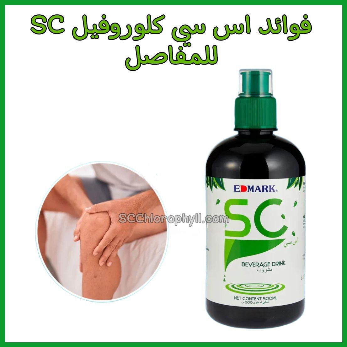 سعر اس سي كلوروفيل SC وطريقة شرائه - أبرز فوائده للمفاصل